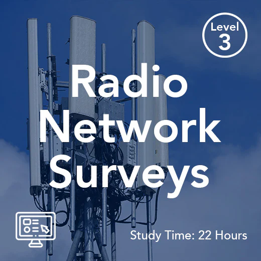 Radio Network Surveys (On-Demand)